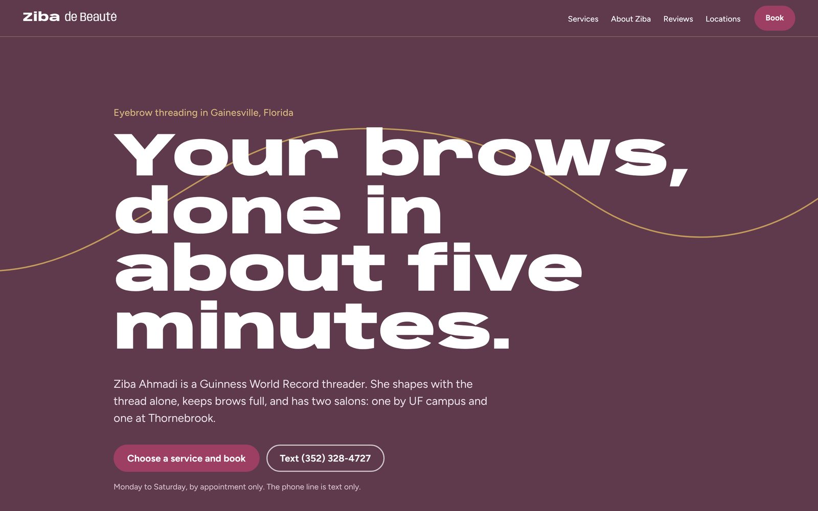 ZibadeBeaute home page: plum hero reading Your brows, done in about five minutes